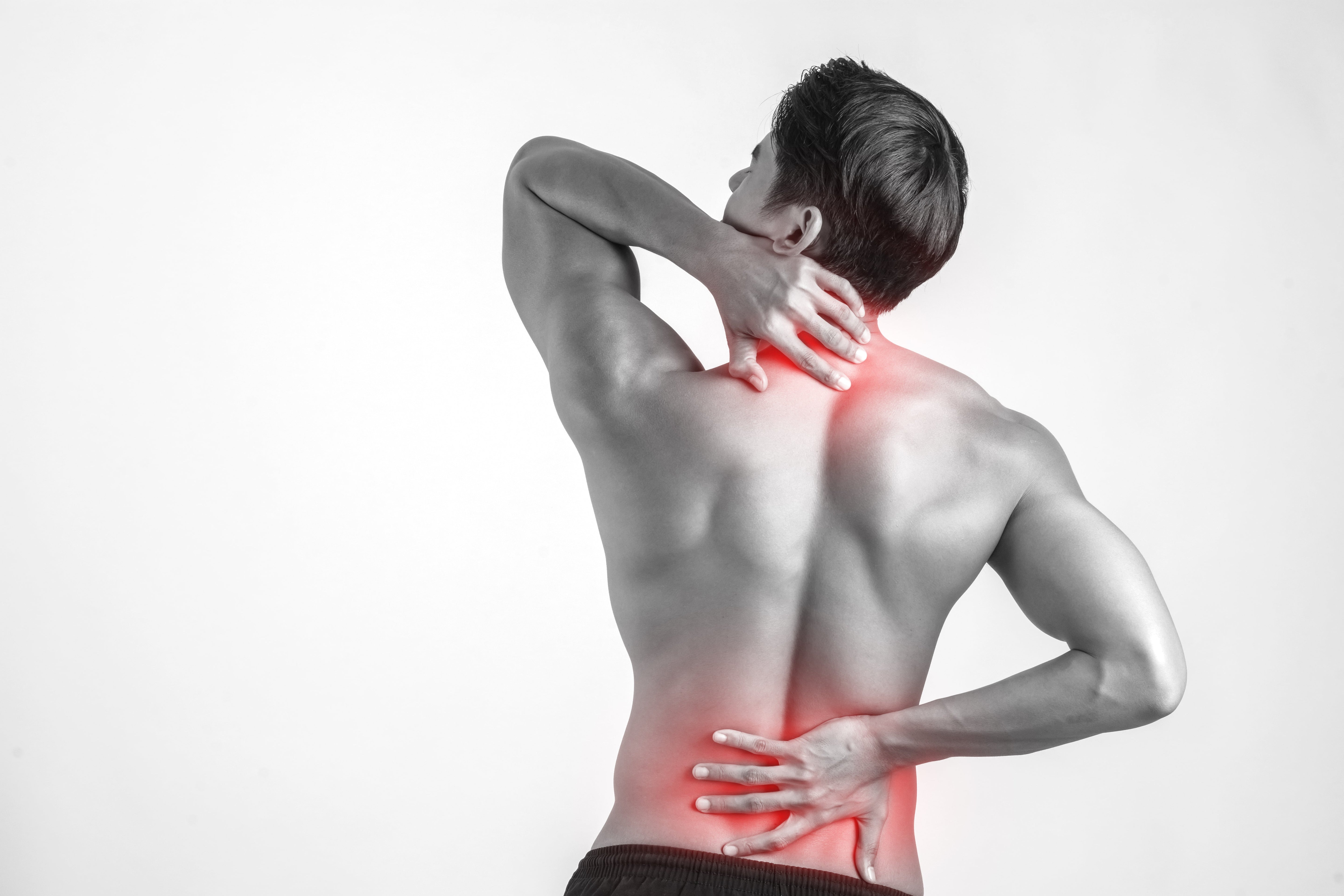 𝗔𝗥𝗧𝗥𝗢𝗦𝗜 𝗩𝗘𝗥𝗧𝗘𝗕𝗥𝗔𝗟𝗘: Il ruolo delle catene muscolari sui segmenti della colonna